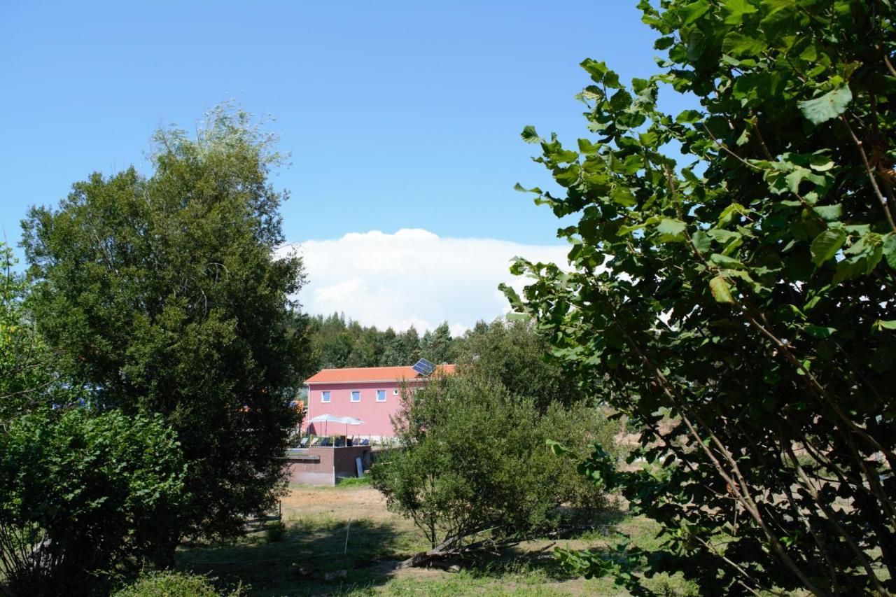 Appartamento Quinta Castanheira Santa Comba Dao Esterno foto